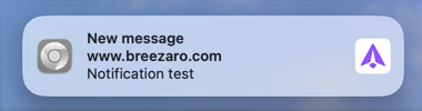Example of a successful setup or the first notification.