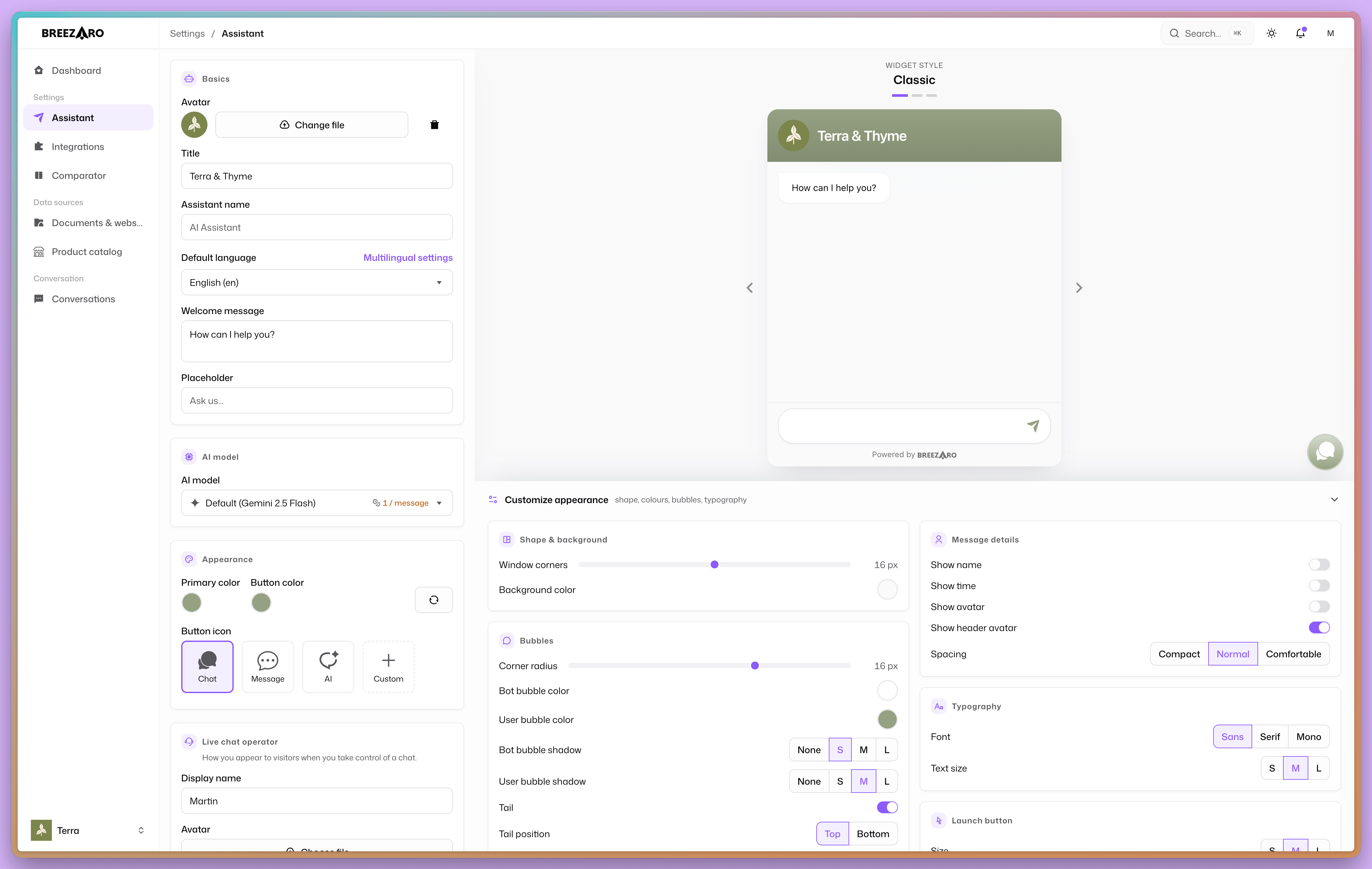 The widget customizer panel with a live preview